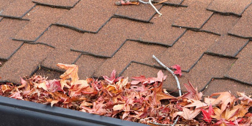Why Proper Roofing Maintenance Matters