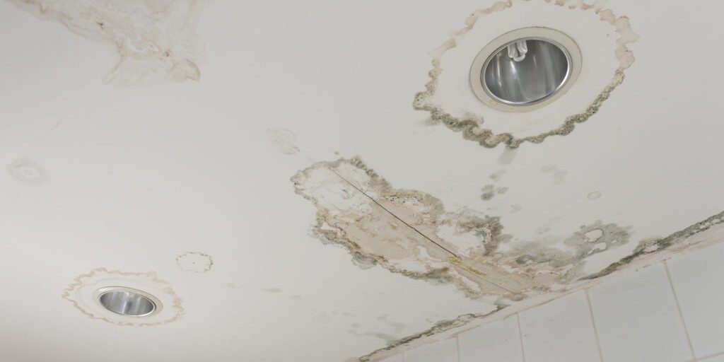 roof-water-damage-1024x682-panorama-69e50518cb8053f9f5ff8d43b587da07-