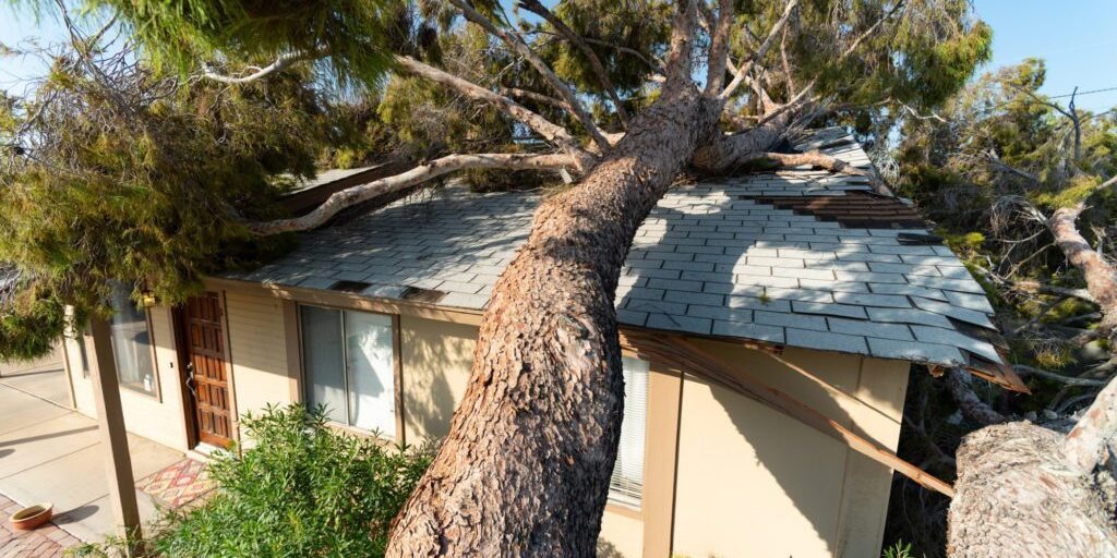 roof-damage-insurance-claims-1024x683-panorama-825900b0a9d1e730fc9f5e1b26b412c8-